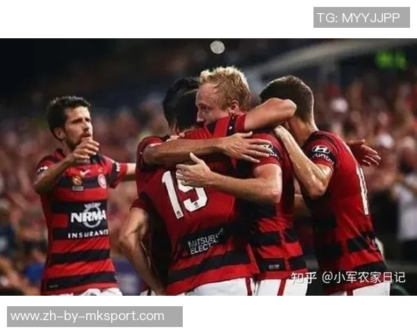 西悉尼流浪者与纽卡斯尔历史交锋战绩分析及数据统计